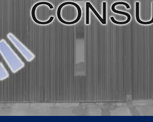 Parte 05 de Logotipo de Cardona Consultores